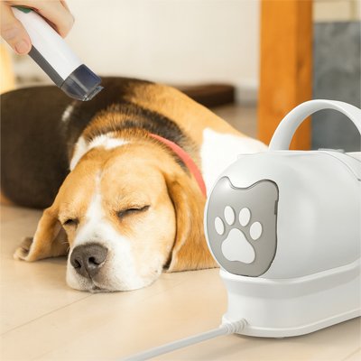 Aspirateur poil de chien paisible