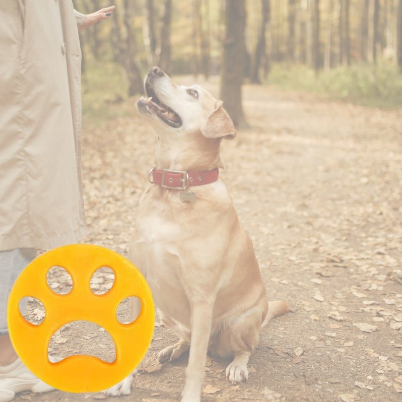 Attrape poil machine à laver | Cleanall™ - Je Promène Mon Chien