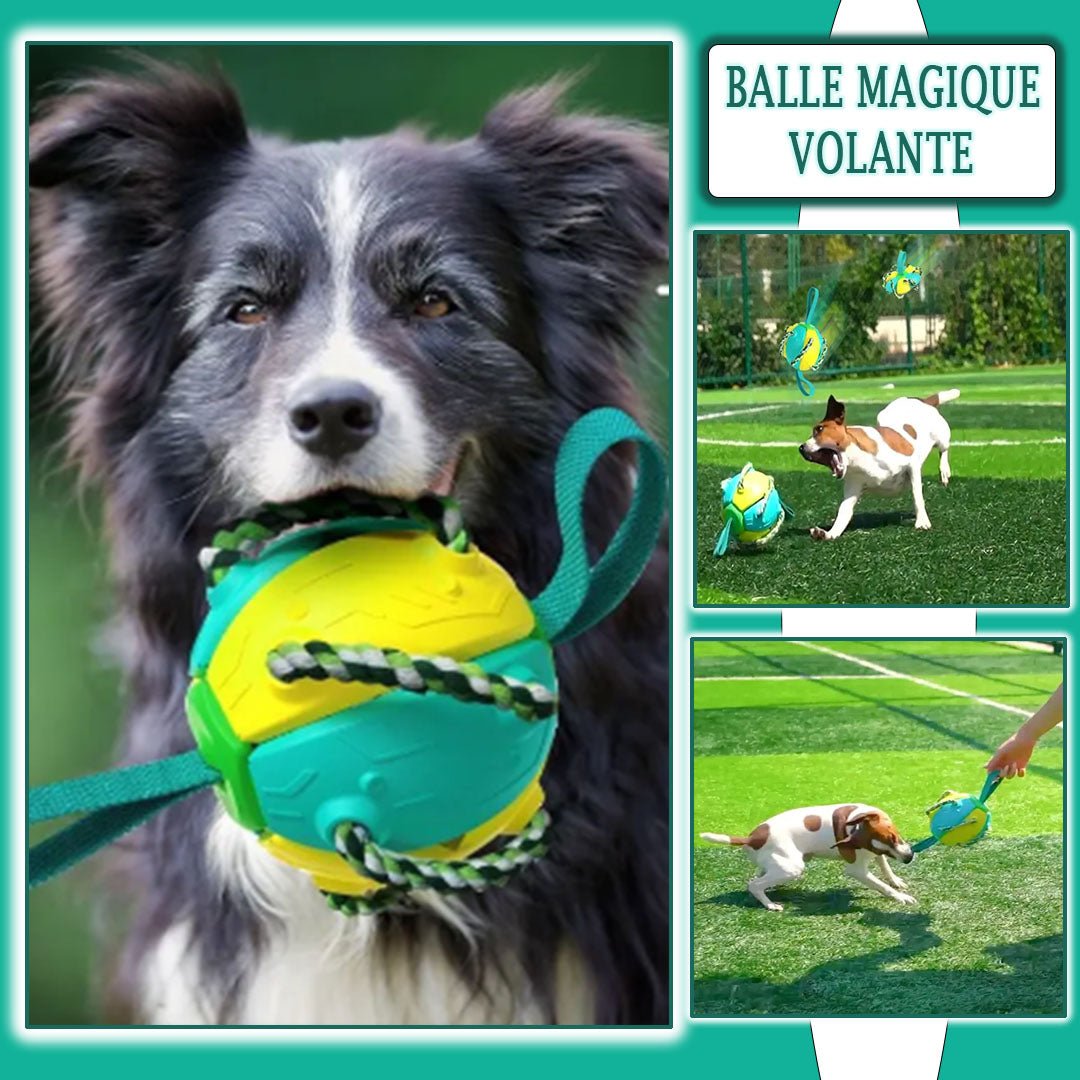 Balle magique 2 en 1 | Extraballe™ - Je Promène Mon Chien