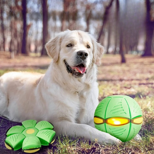 Balle pour chien | Balles volantes