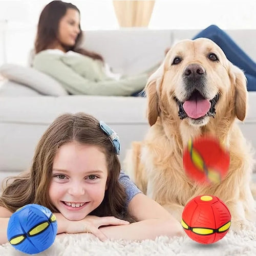 Balle pour chien | Balles volantes
