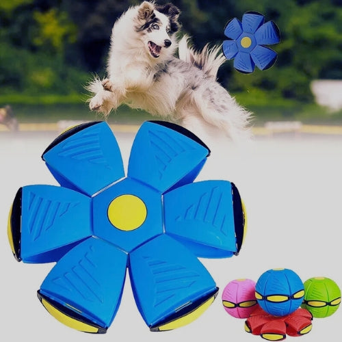 Balle pour chien | Balles volantes