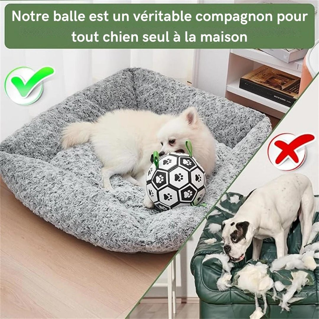 Balle pour chien | Dentaballe™ - Je Promène Mon Chien