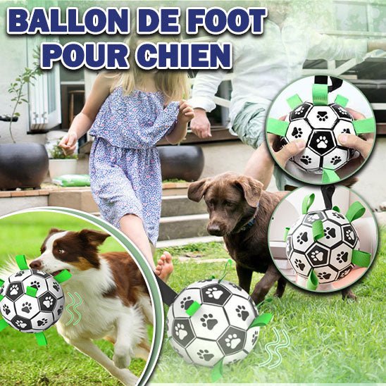 Balle pour chien | Dentaballe™ - Je Promène Mon Chien