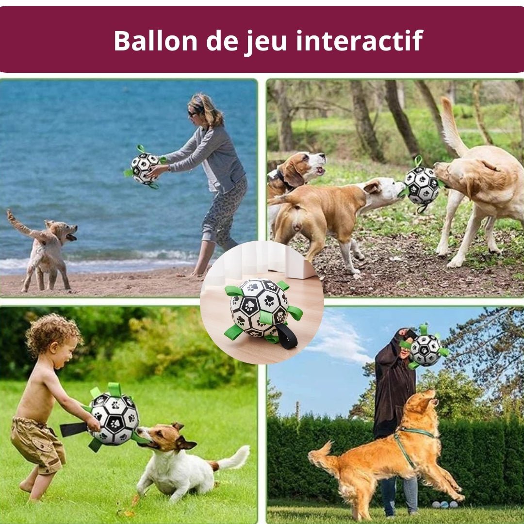 Balle pour chien | Dentaballe™ - Je Promène Mon Chien