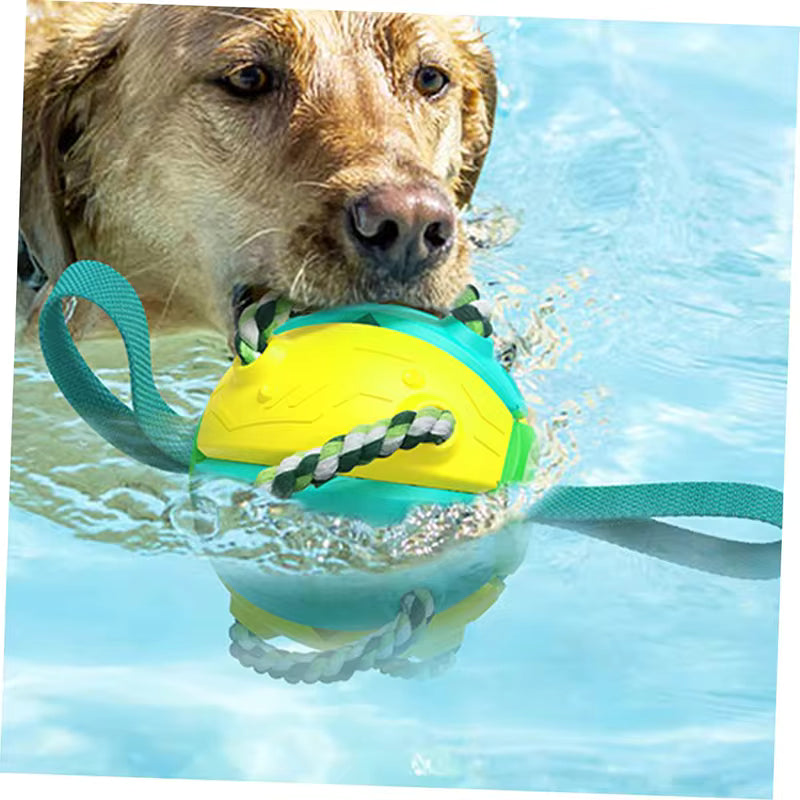 Balle pour chien | Extraballe™