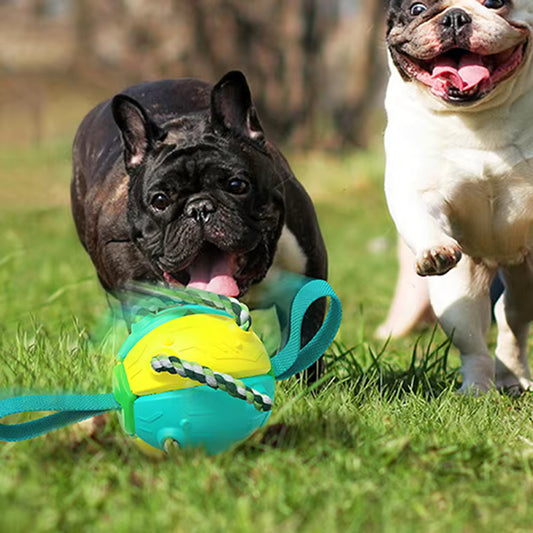 Balle pour chien | Extraballe™