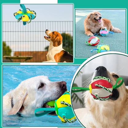 Balle pour chien - Extraballe™ magique 2 en 1 - Je Promène Mon Chien