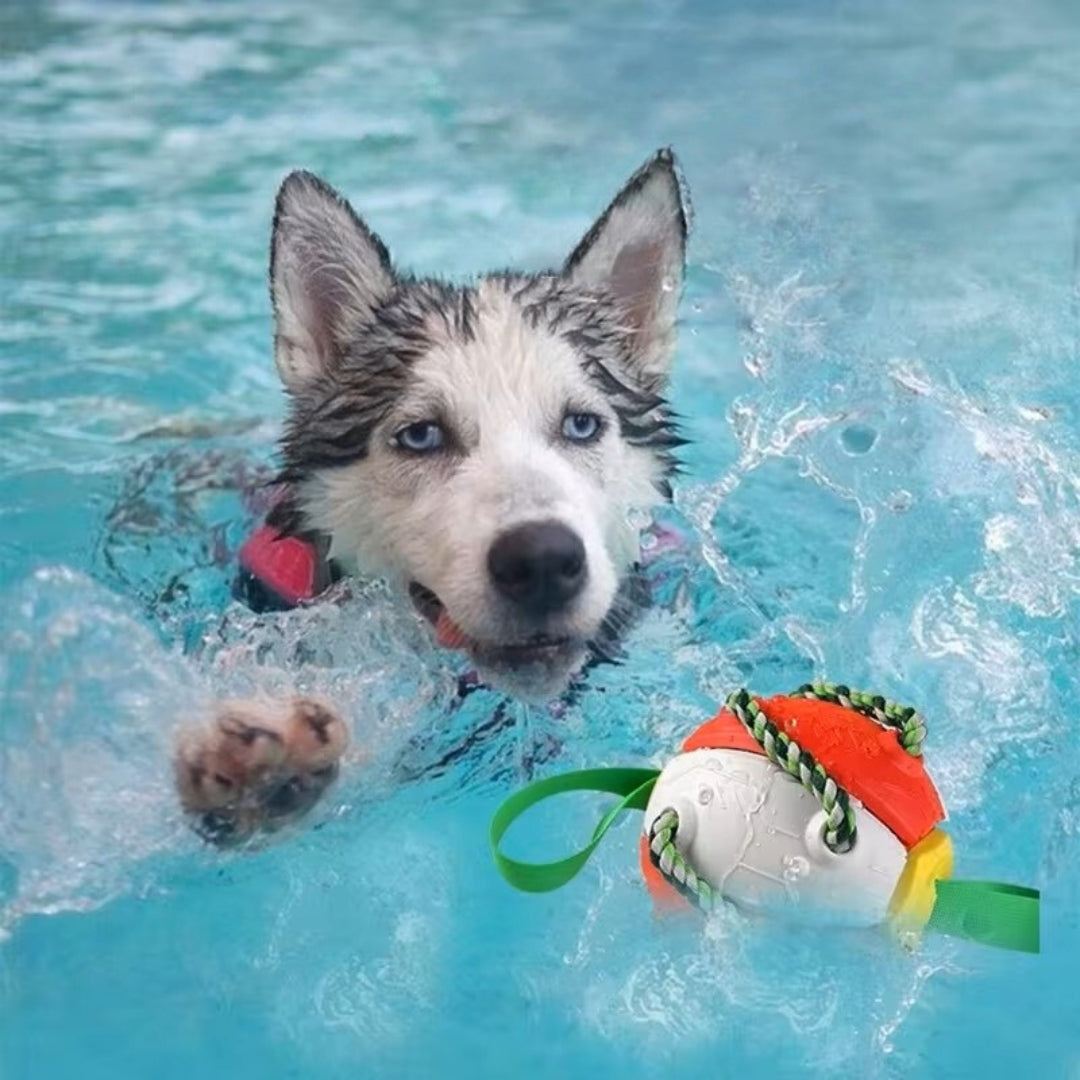 Balle pour chien | Extraballe™