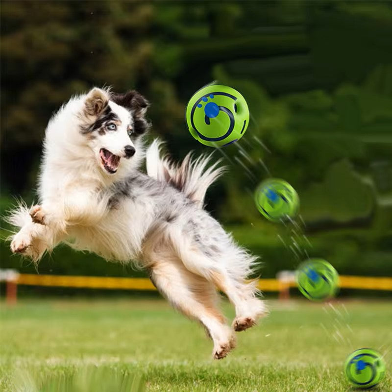 Balle pour chien | Ultra-Résistante