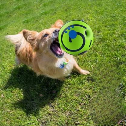 Balle pour chien | Ultra-Résistante