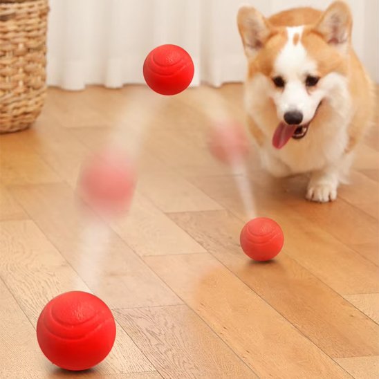 balle pour chien
