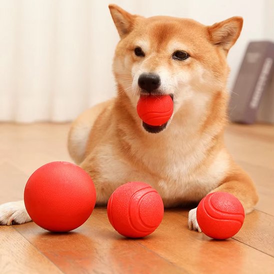 balle pour chien