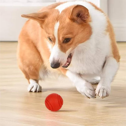 balle pour chien