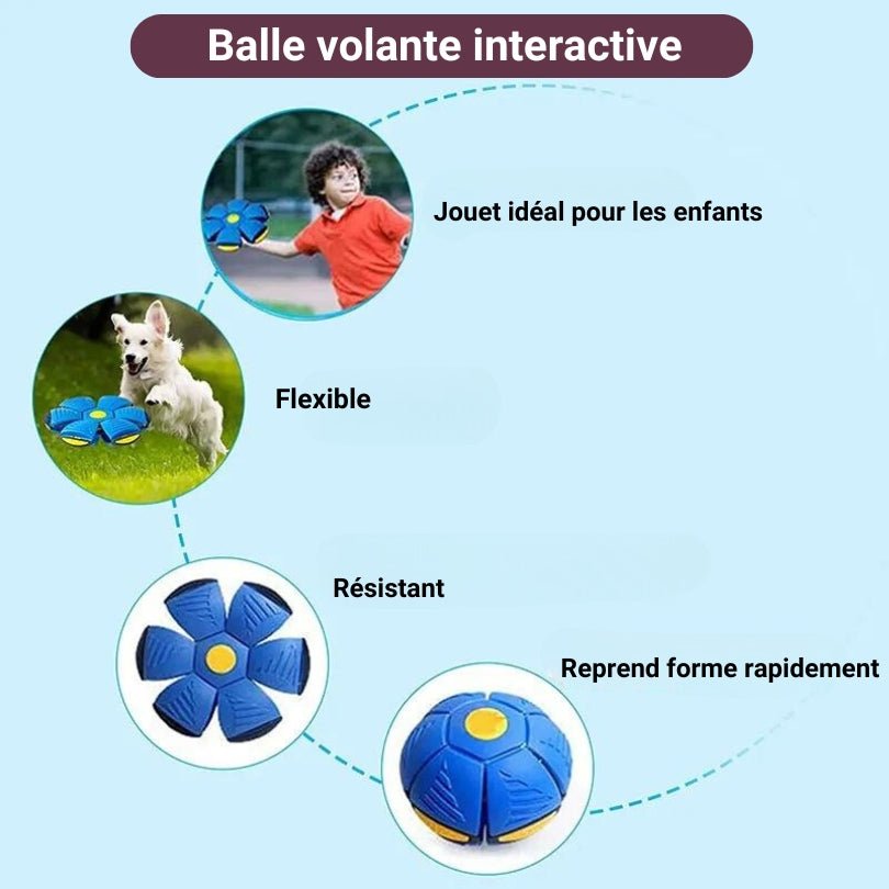 Balles volantes | BouleDynamique™ - Je Promène Mon Chien