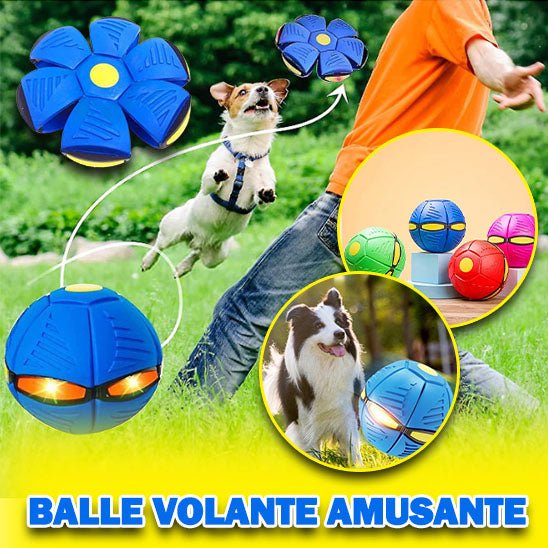 Balles volantes | BouleDynamique™ - Je Promène Mon Chien