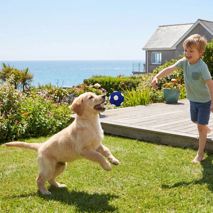 Ballon increvable pour chien | Simili-Foot