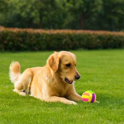 Ballon pour chien increvable