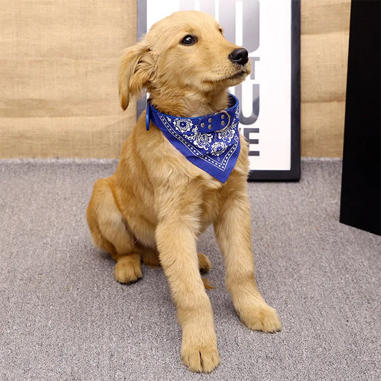 Bandana chien | Classique intemporel