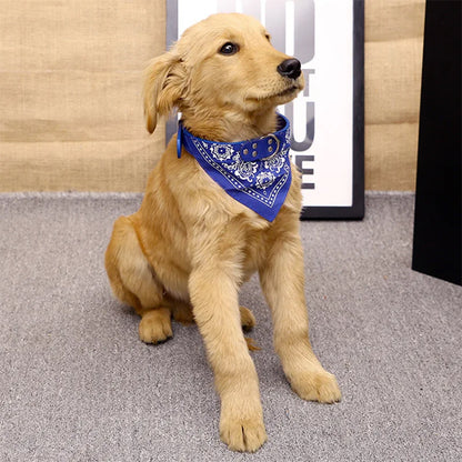 Bandana chien | Classique intemporel