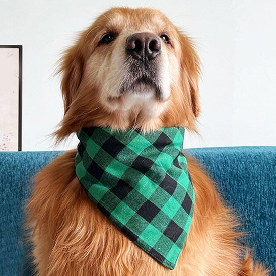 Bandana chien à carreaux