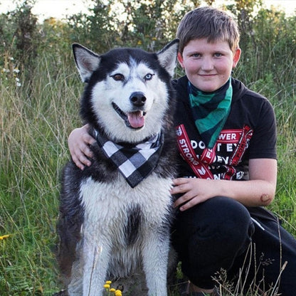 Bandana chien élégant