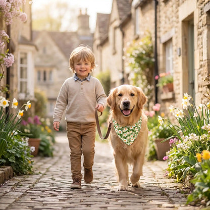 bandana chien et jeune garçon au village