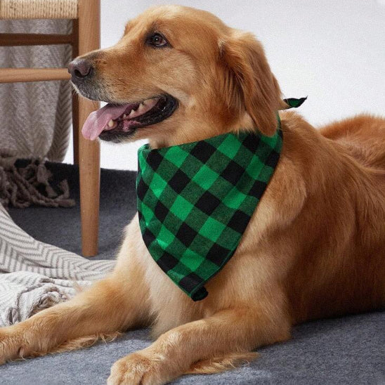 Bandana chien noir et vert