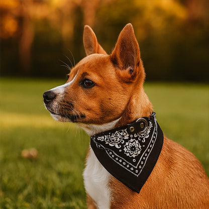 Bandana chien noir