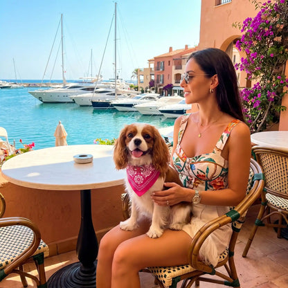 Bandana chien rose en terrasse au café