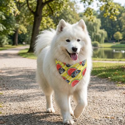 bandana pour chien à motifs au parc