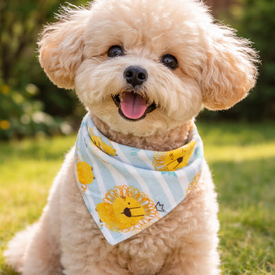 bandana pour chien à motif lions