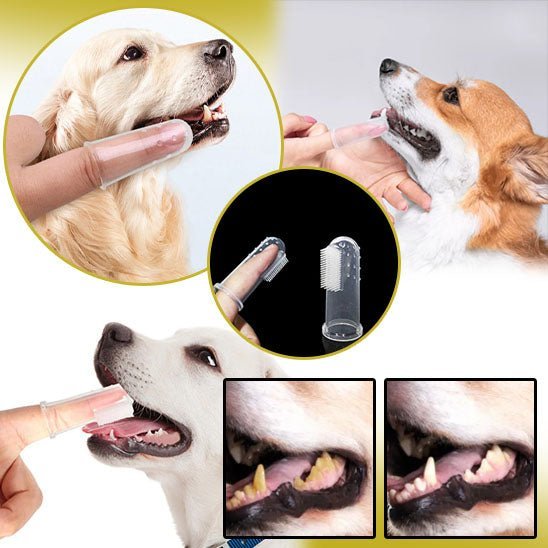 Brosse à dents souple | Rubsdent™ - Je Promène Mon Chien