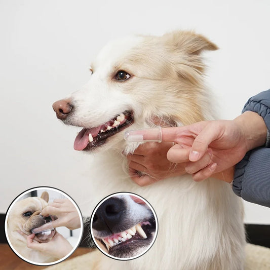 Brosse à dents souple | Rubsdent™ - Je Promène Mon Chien