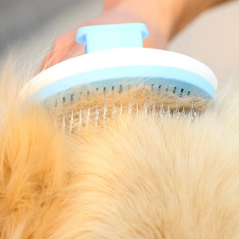Détail du brossage avec la brosse pour chien