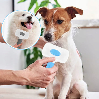 Brosse pour chien | FrizouFrizy™