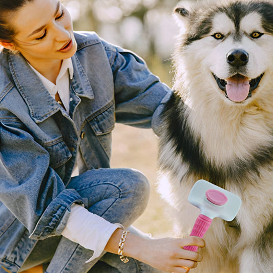 Brosse pour chien pour le brossage du Husky