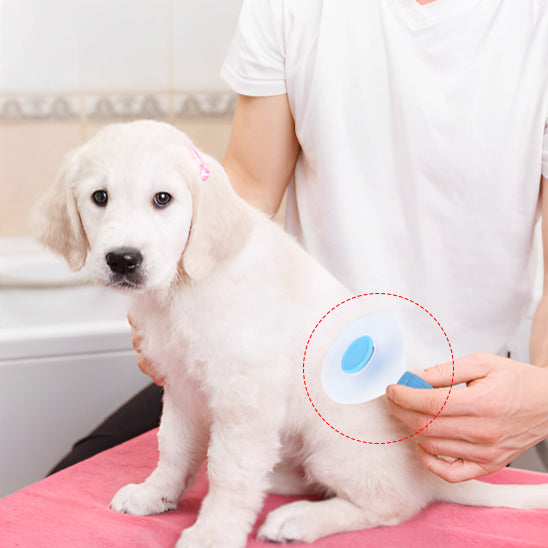 Toilettage avec la brosse pour chien FrizouFrizy