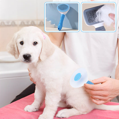 brosse ronde et bleu avec chiot