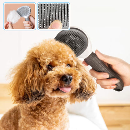 brosse ronde grise avec petit chien