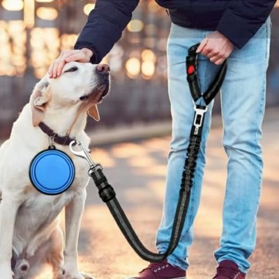 Ceinture de sécurité pour chien format laisse
