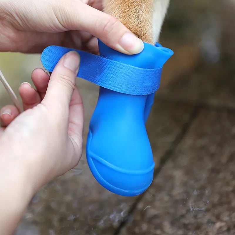 Chaussure pour chien | BottineChic™ - Je Promène Mon Chien