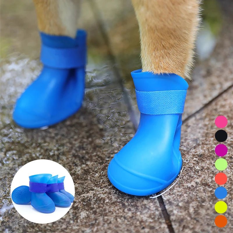 Chaussure pour chien | BottineChic™ - Je Promène Mon Chien