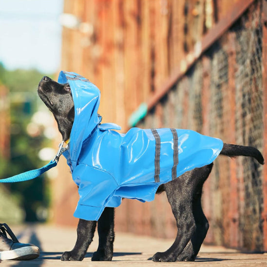 Ciré chien | Imperméable et Elégant
