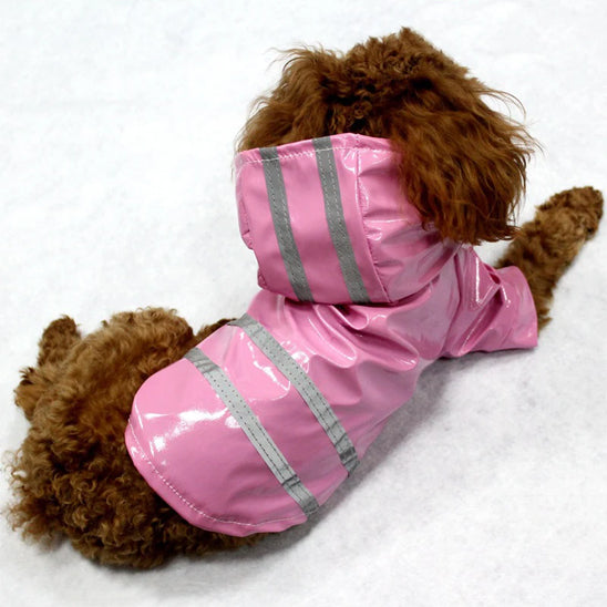 Ciré chien | Imperméable et Elégant