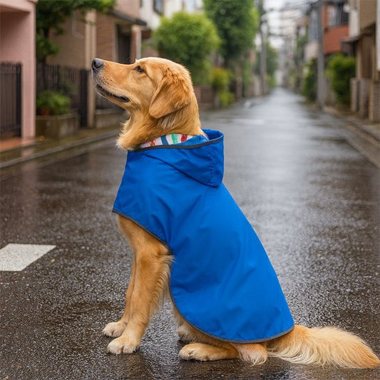 ciré pour chien bleu