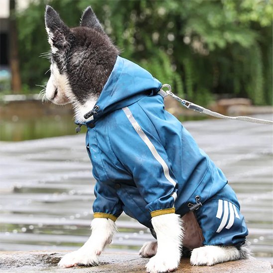 Ciré pour chien bleu