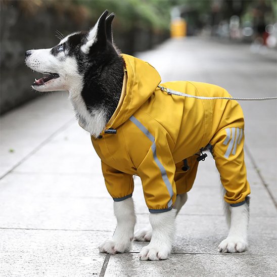 Ciré pour chien jaune