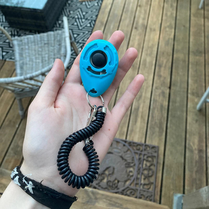 clicker chien bleu dans une main