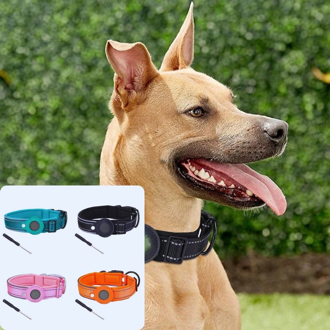 Collier anti fugue pour chien | Detectcol™ - Je Promène Mon Chien